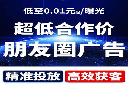 竞价广告的投放时机与频次选择——基于案例的探讨